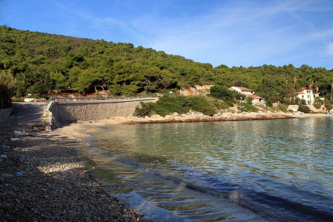 Apartments By The Sea Milna, Vis - 8895 روكافاك المظهر الخارجي الصورة